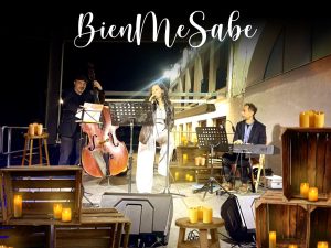CONTRACTAR BIENMESABE