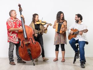 CONTRACTAR LA PUNTUAL FOLK